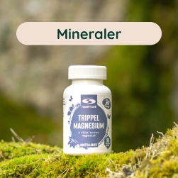 Mineraler